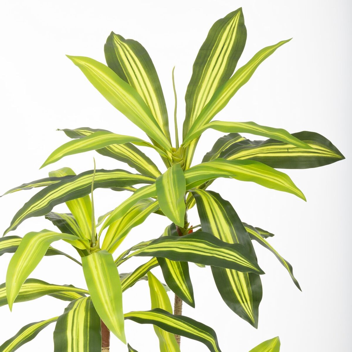 Pianta Decorativa Poliuretano Cemento 180 cm