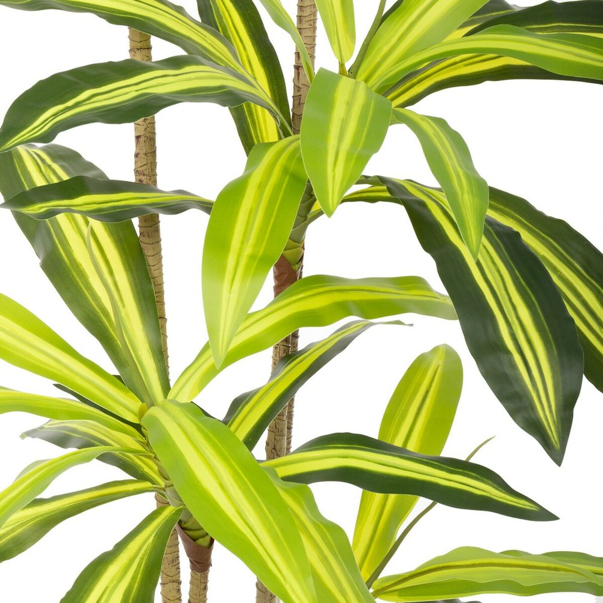 Pianta Decorativa Poliuretano Cemento 180 cm