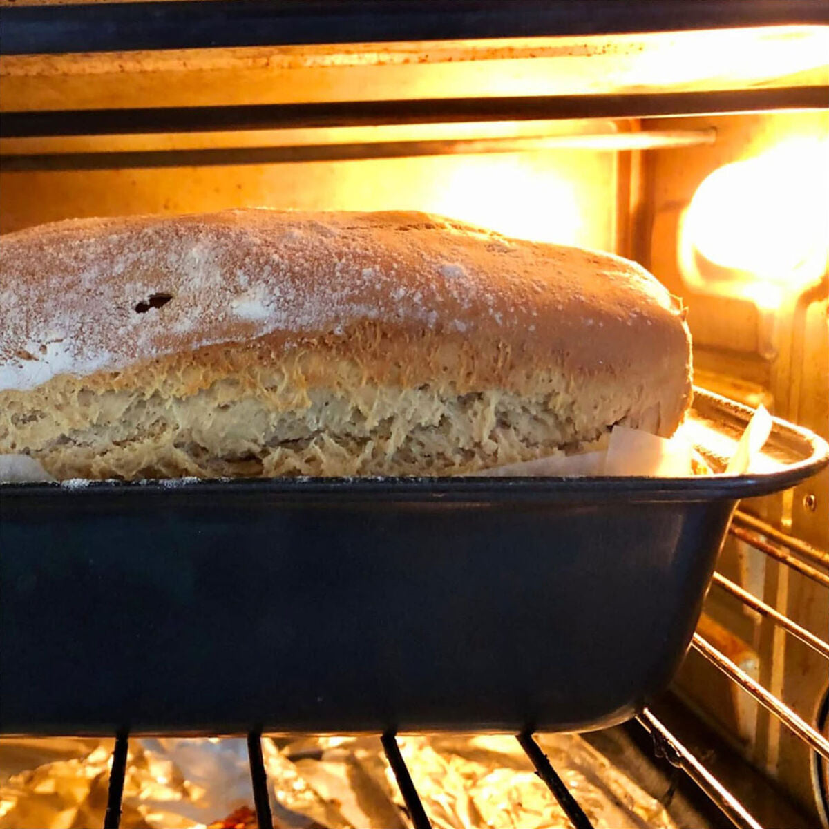 V1H056A73A6746F1B4EC46303C27C0D3241RP5