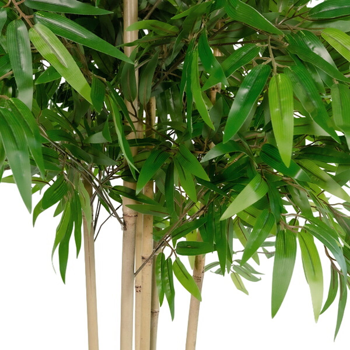 Albero Home ESPRIT Poliestere Bambù 80 x 80 x 180 cm