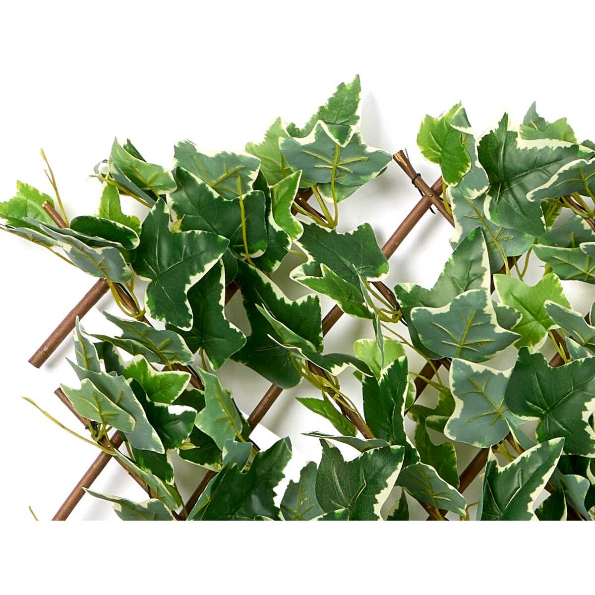 V2H9CAE751C1C79CF0EF83AE64CD7CBF5C0R5515048P5