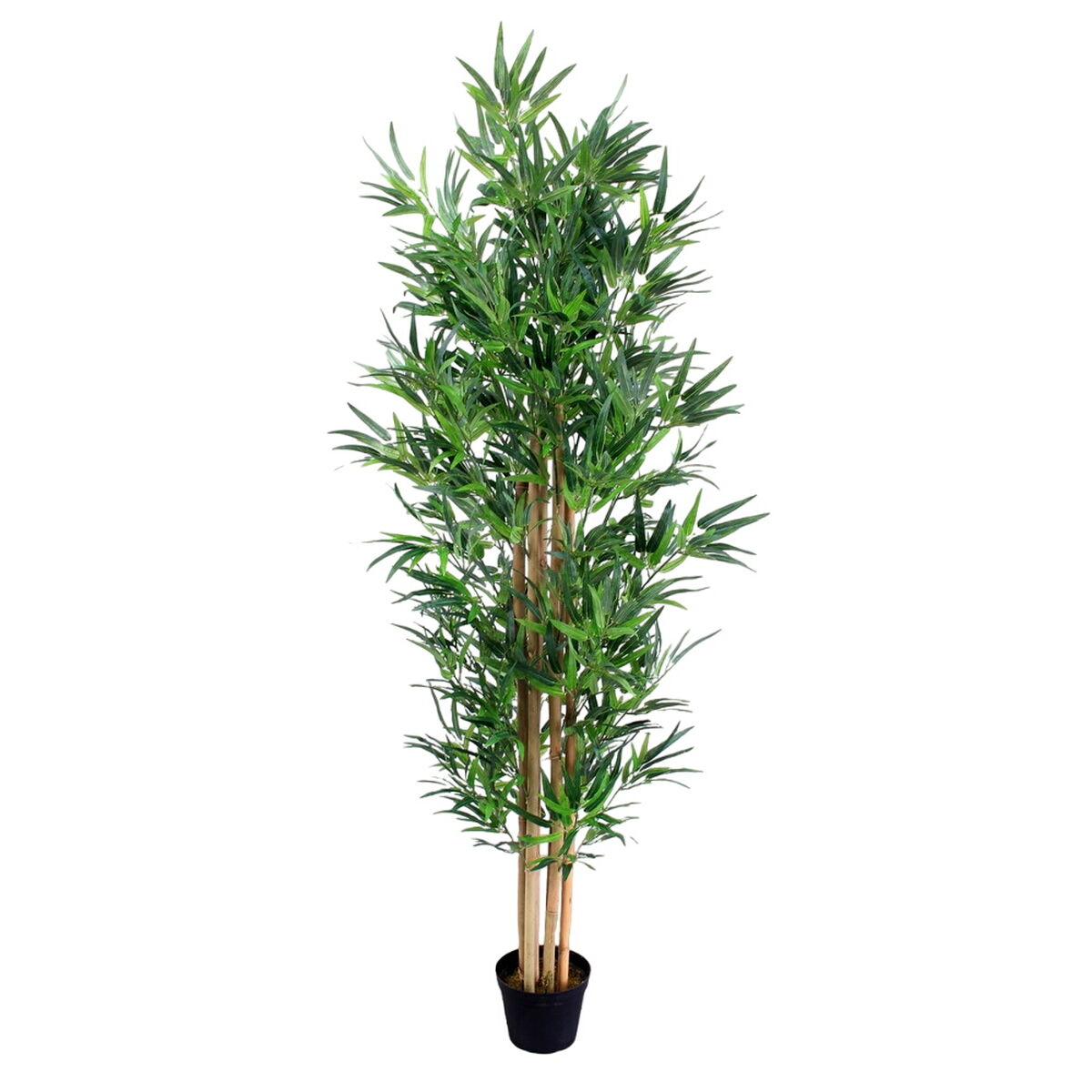 Pianta Decorativa Cemento Tessuto Bambù 210 cm