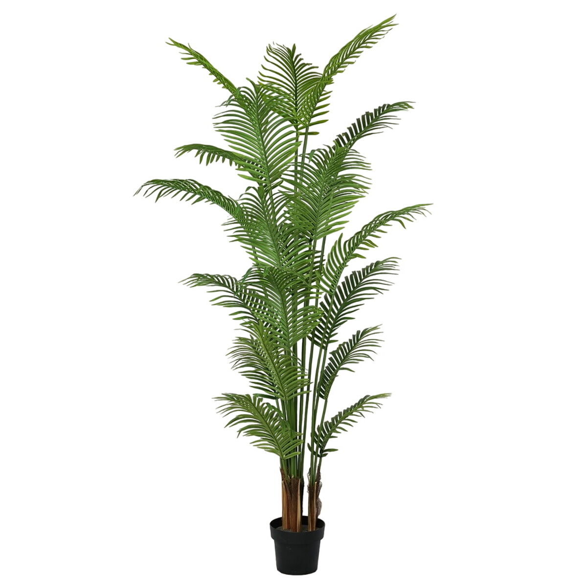 Pianta Decorativa Poliuretano Cemento Areca 210 cm