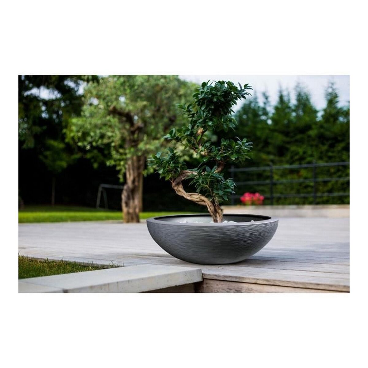 Vaso EDA Graphit Washbasin Plastica Grigio scuro (Ø 59 x 21 cm)