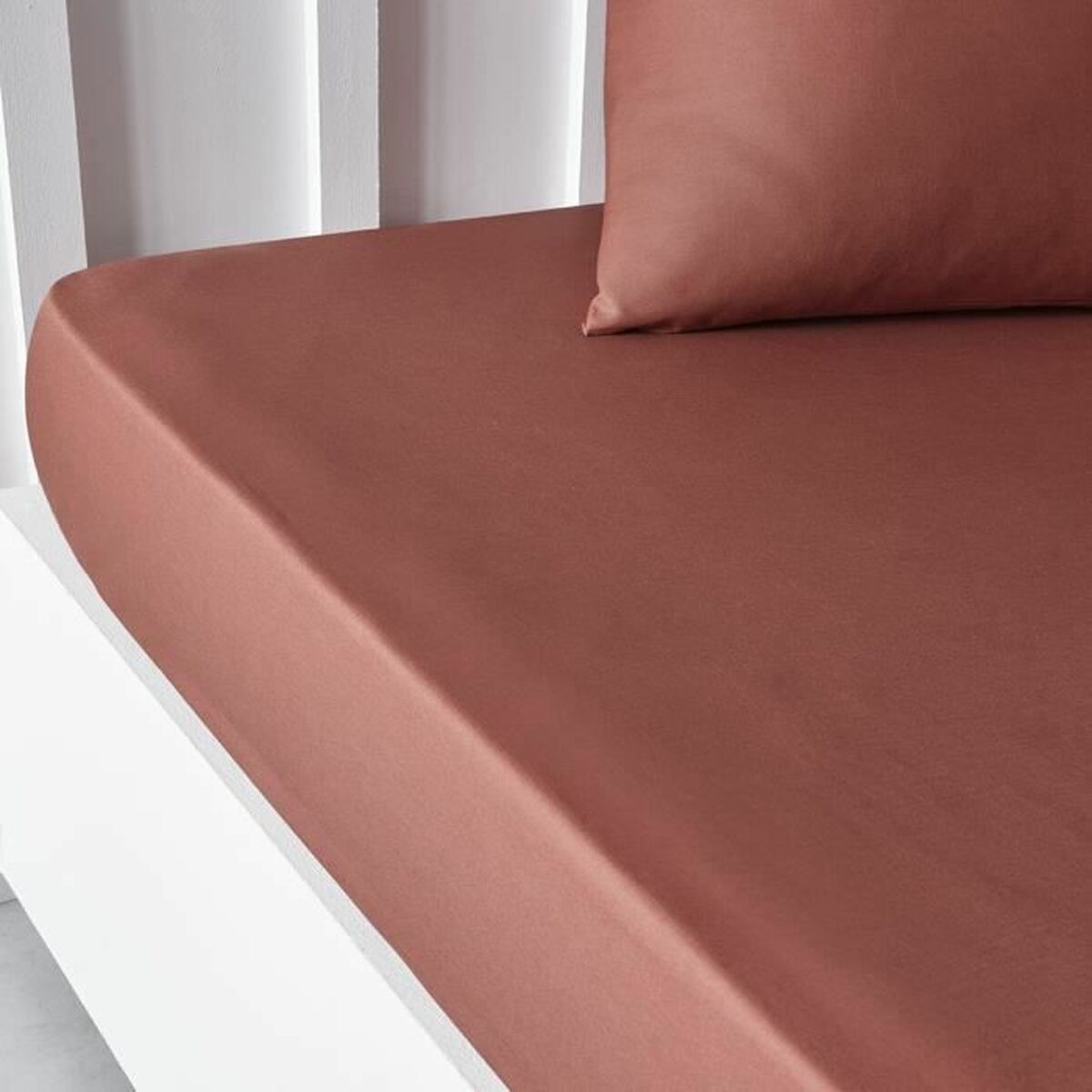 Lenzuolo con angoli aderenti TODAY Essential Terracotta 160 x 200 cm Rosso