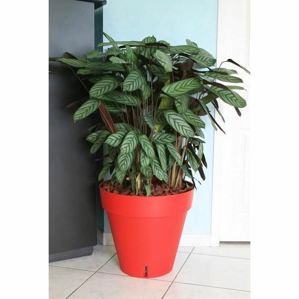 Vaso Riviera Rosso polipropilene Rotondo Sfera Ø 50 cm