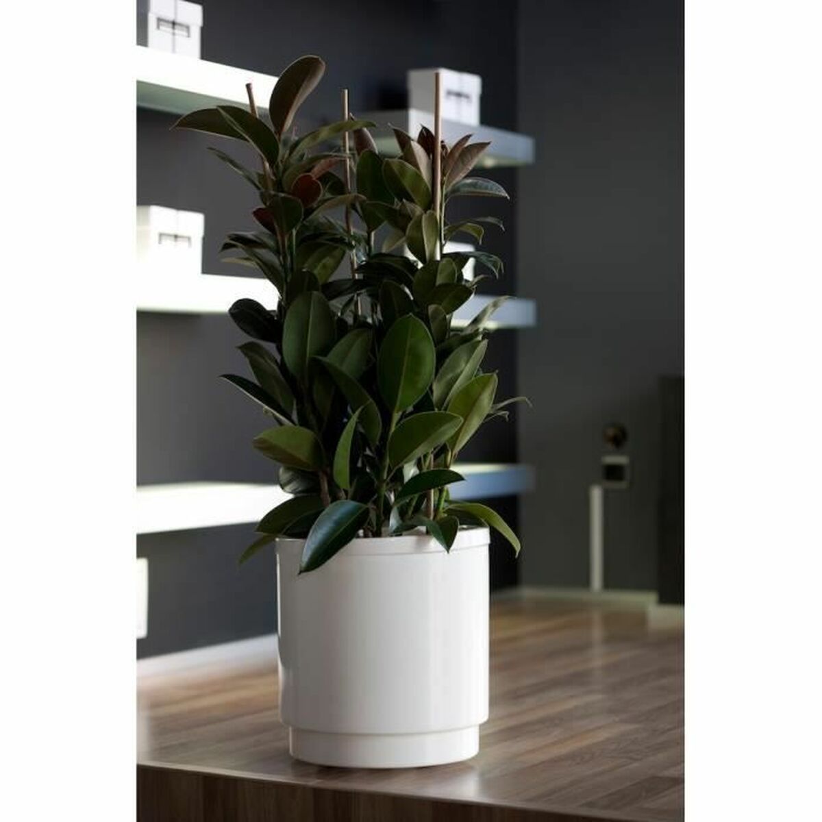 Vaso Plastiken   Bianco Ø 48 cm