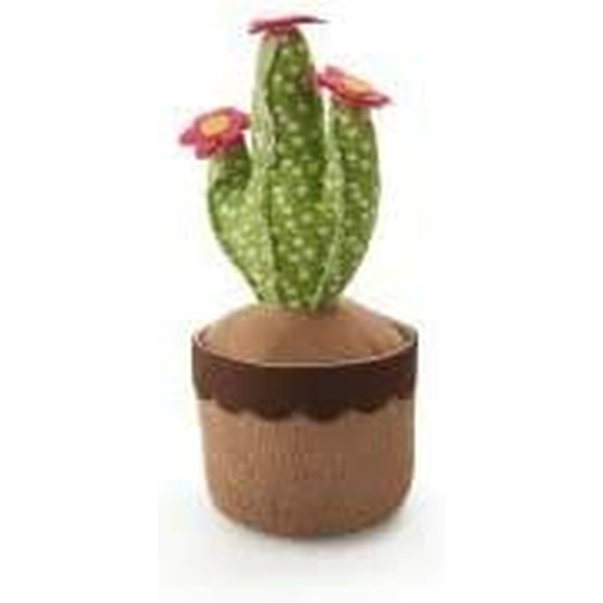 Arresto Inofix Porte Cactus Verde