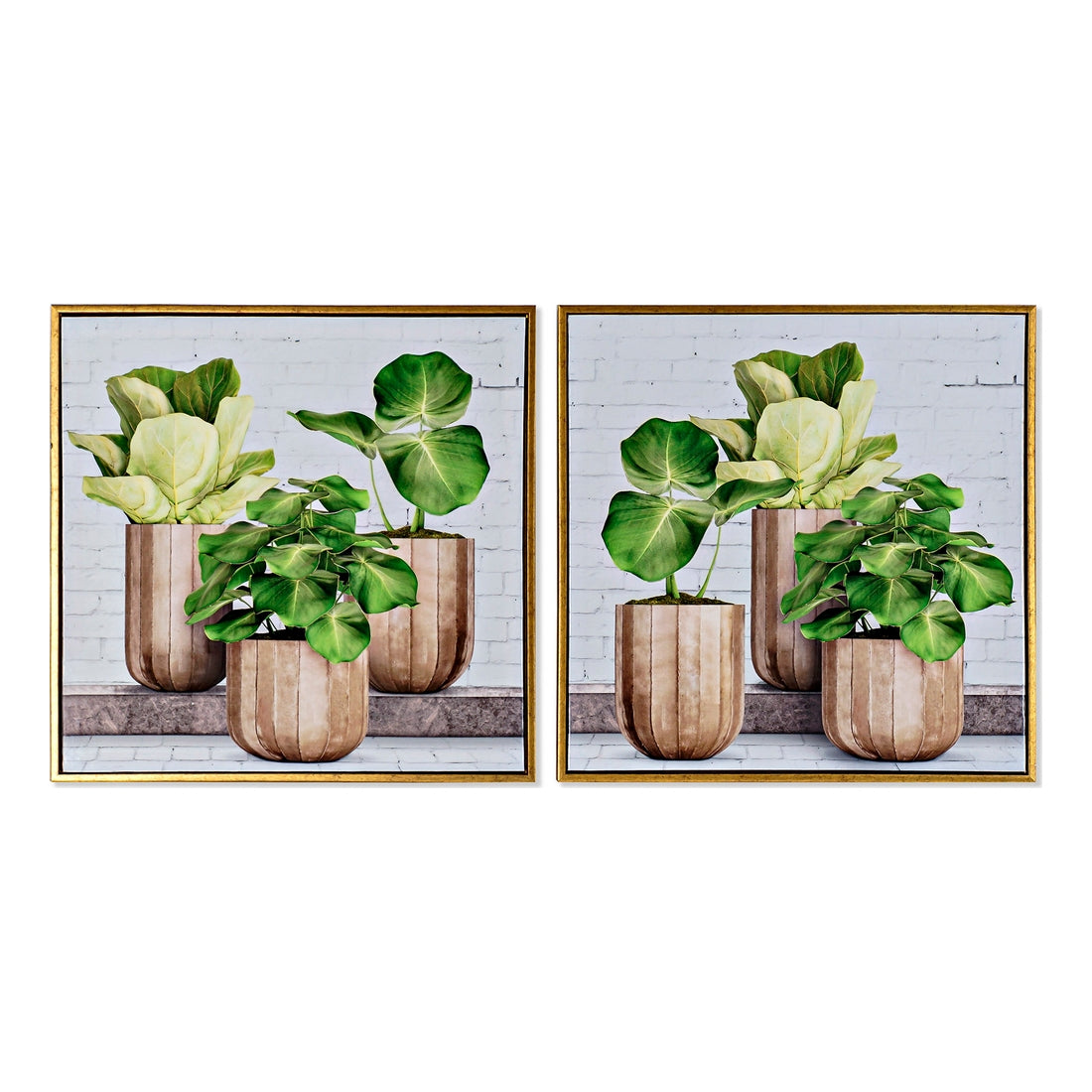Quadro vasi con piante DKD Home Decor Laccato Tela (2 pezzi)