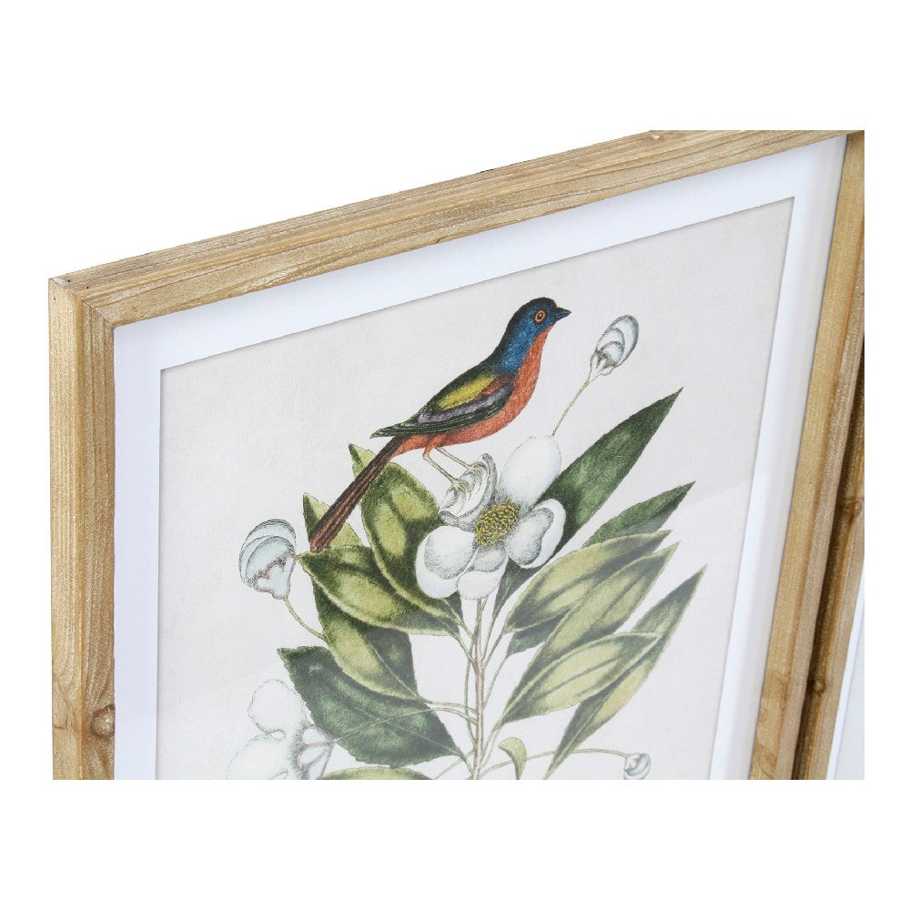 Quadro DKD Home Decor Bird Uccelli (4 pezzi) (55 x 2.5 x 70 cm)