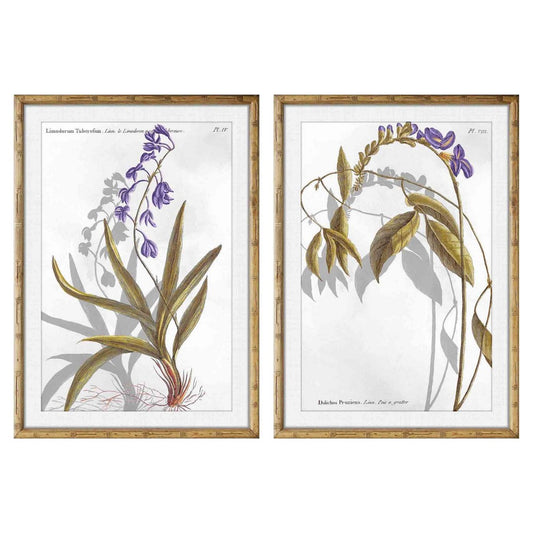 Quadro DKD Home Decor Piante botaniche (50 x 2 x 70 cm) (2 pezzi)