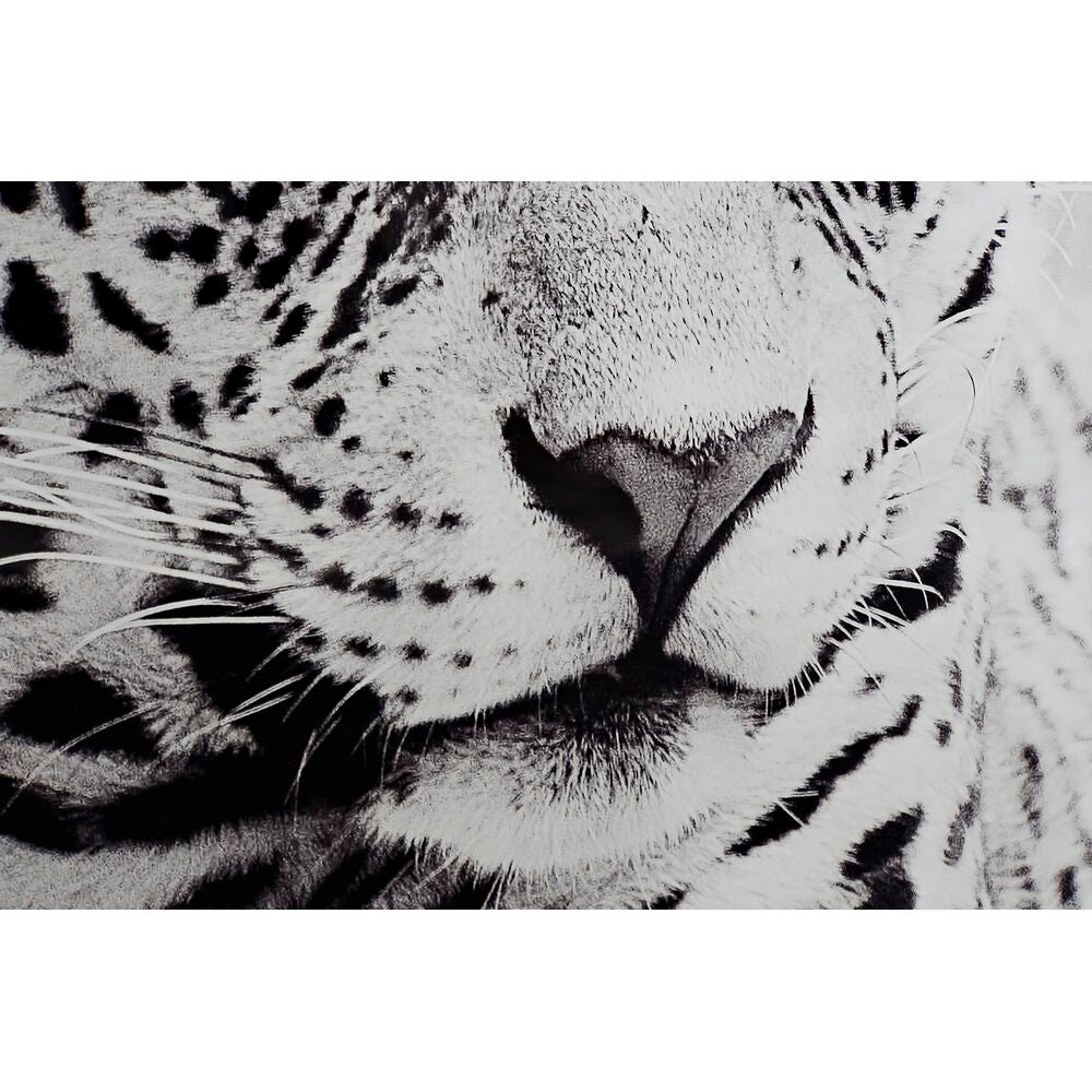 Quadro DKD Home Decor Leopardo Coloniale (100 x 2,5 x 100 cm) (2 Unità)