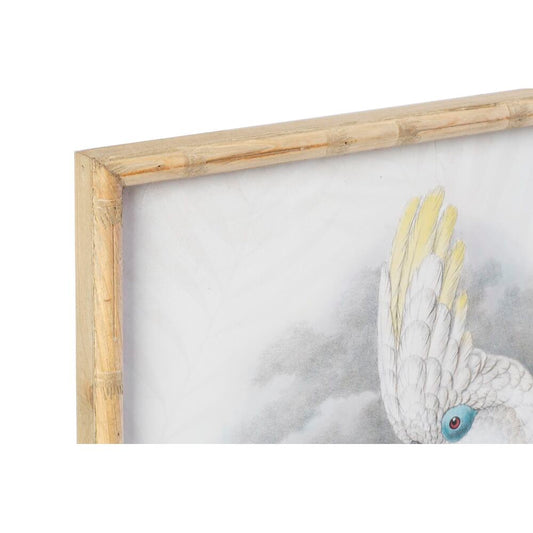 Quadro DKD Home Decor Coloniale Uccello (50 x 2,8 x 70 cm) (2 Unità)