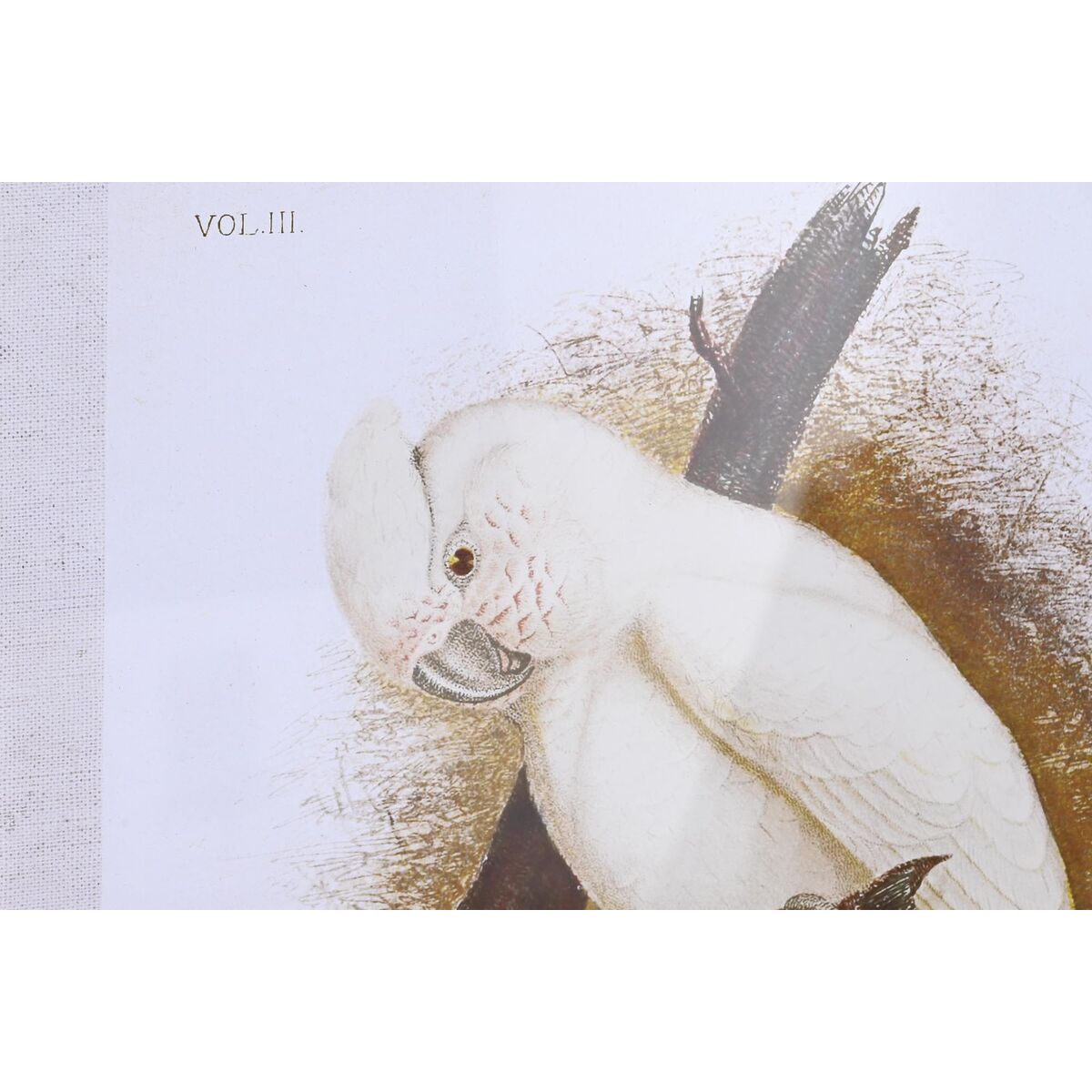 Tela DKD Home Decor (50 x 2,8 x 65 cm) (50 x 65 x 2.8 cm) (4 Unità)