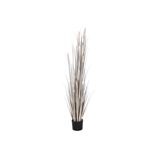 Pianta finta DKD Home Decor Juncus (45 x 45 x 150 cm)