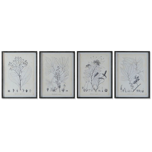 Quadro DKD Home Decor Moderno Piante botaniche 45 x 2,5 x 60 cm (4 Unità)