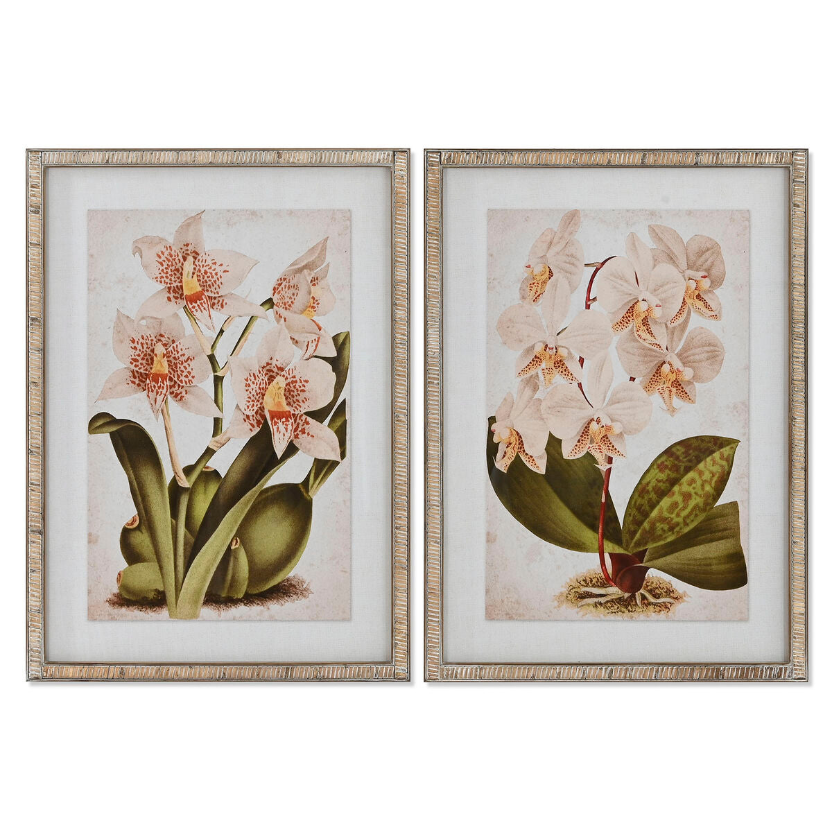 Quadro Home ESPRIT Tropicale Orchidea 50 x 2,5 x 70 cm (2 Unità)