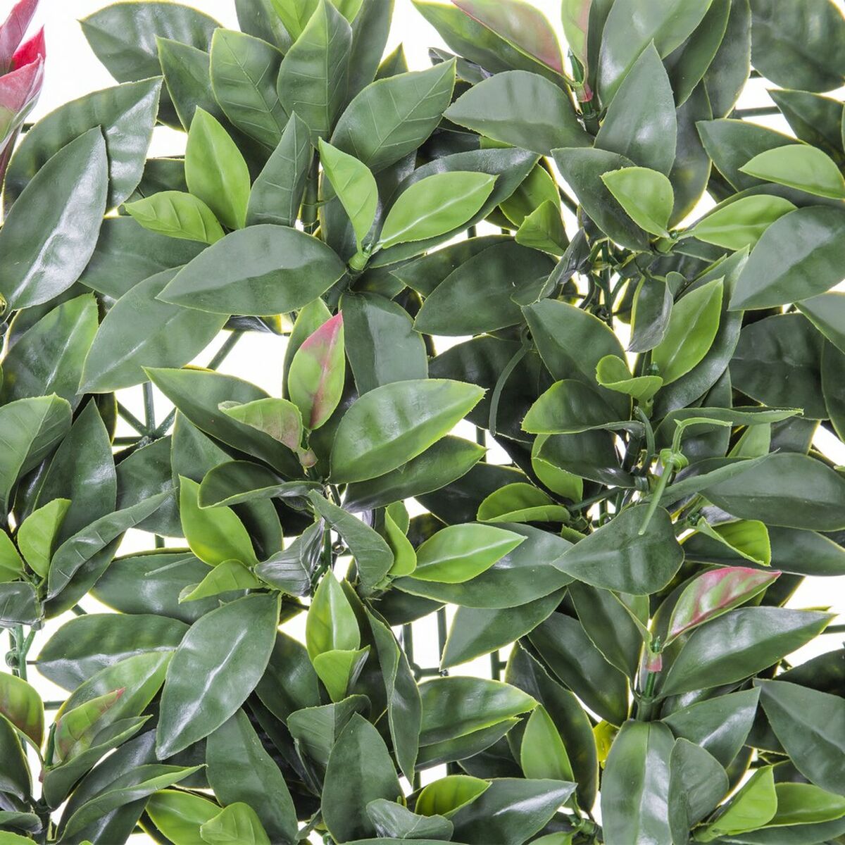 Recinto   Laurel 50 x 50 x 2 cm