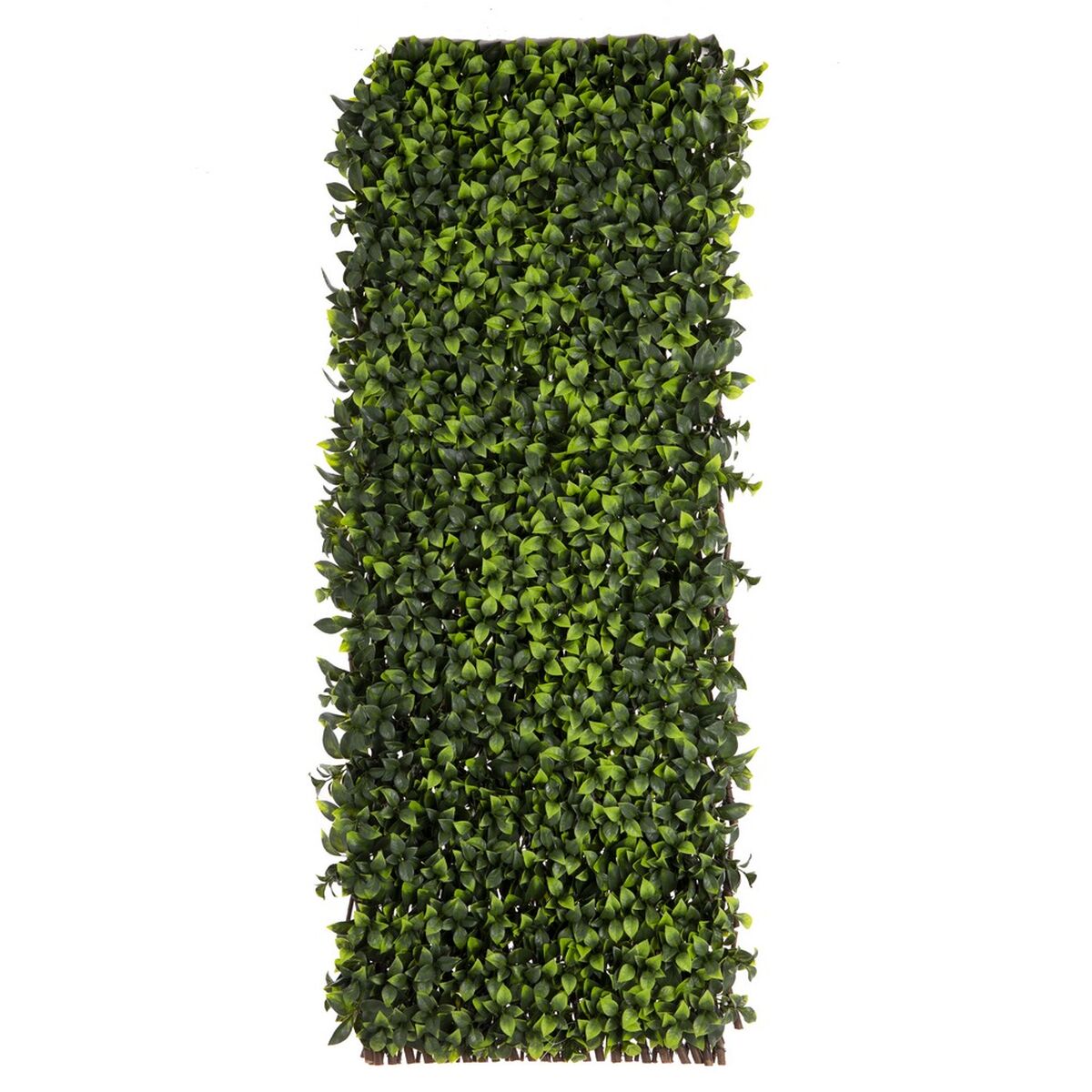Griglia Natural Edera vimini Bambù 2 x 200 x 100 cm