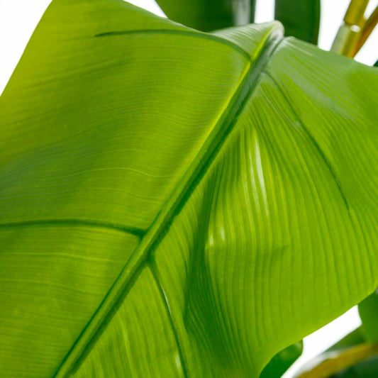 Pianta finta 103 x 95 x 200 cm Verde PVC Banano