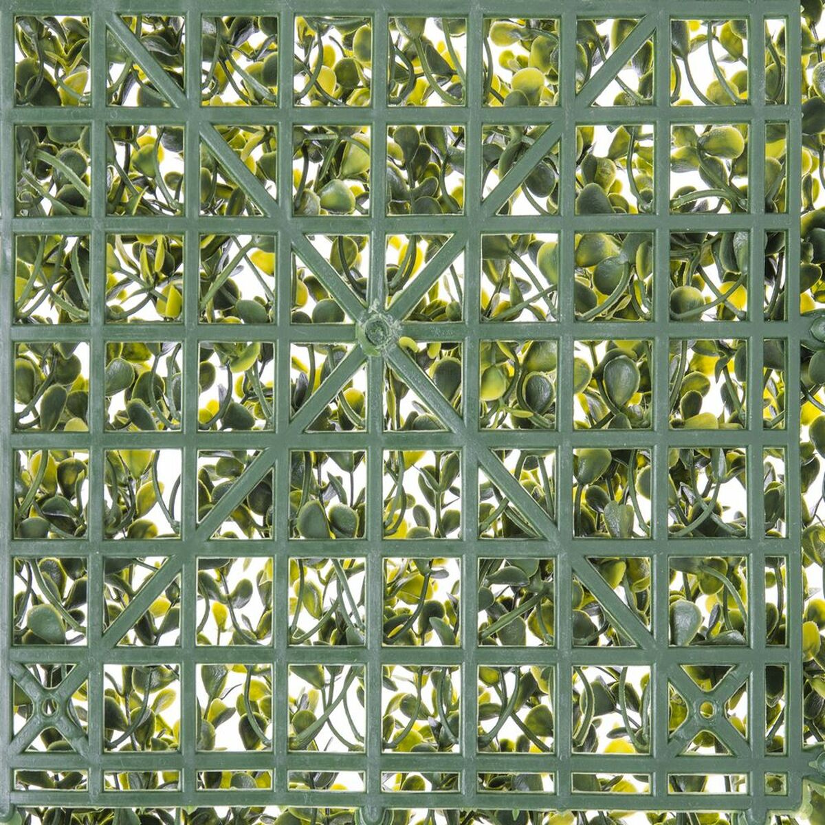 Recinto   50 x 50 x 2 cm