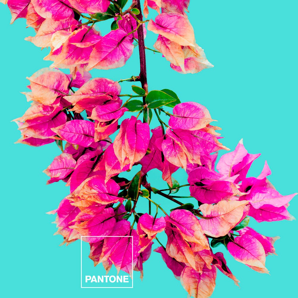 Lenzuola Bugnavilla Pantone
