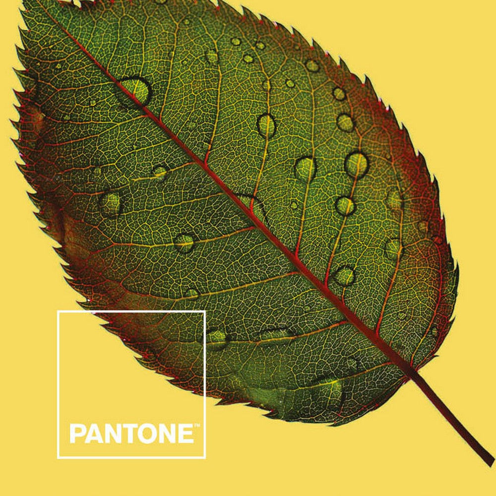 Copripiumino Nature Pantone