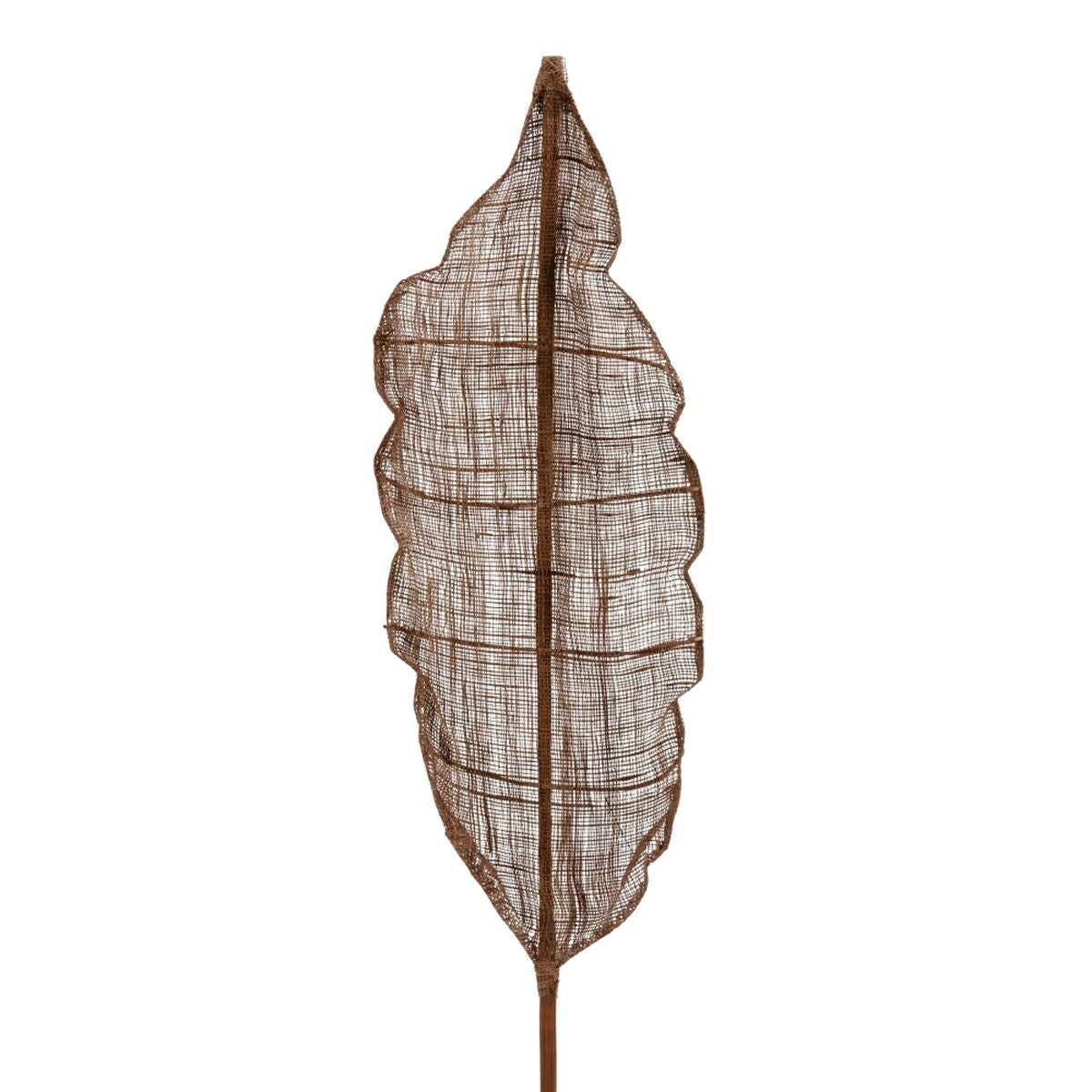 Ramo 20 x 8 x 200 cm Marrone Fibra naturale