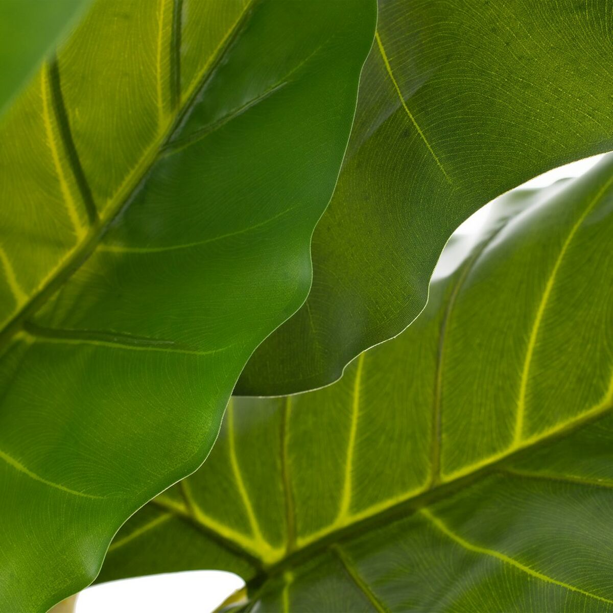 Pianta finta 75 x 60 x 155 cm Verde Philodendro