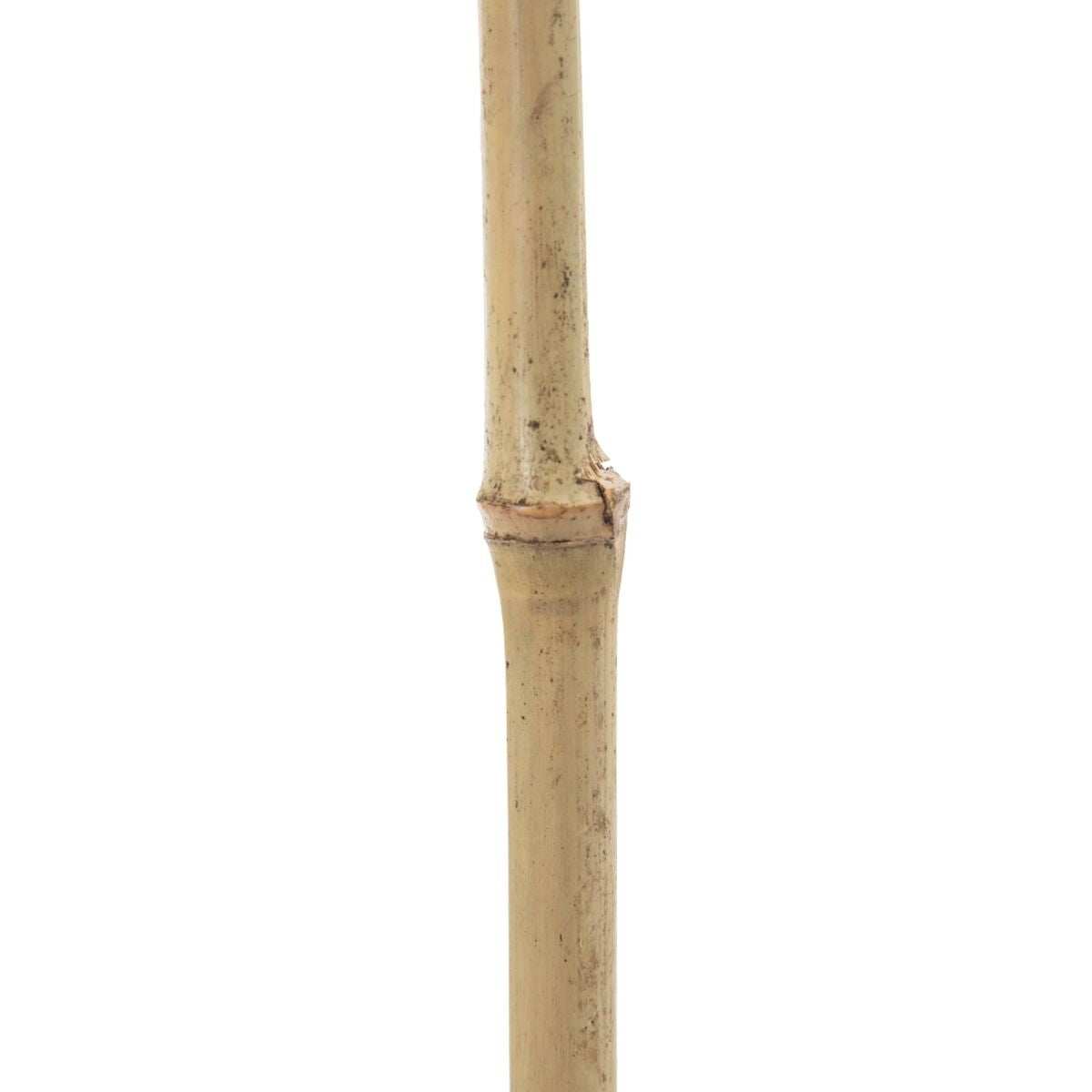 Ramo Naturale Foglio 43 x 2 x 200 cm