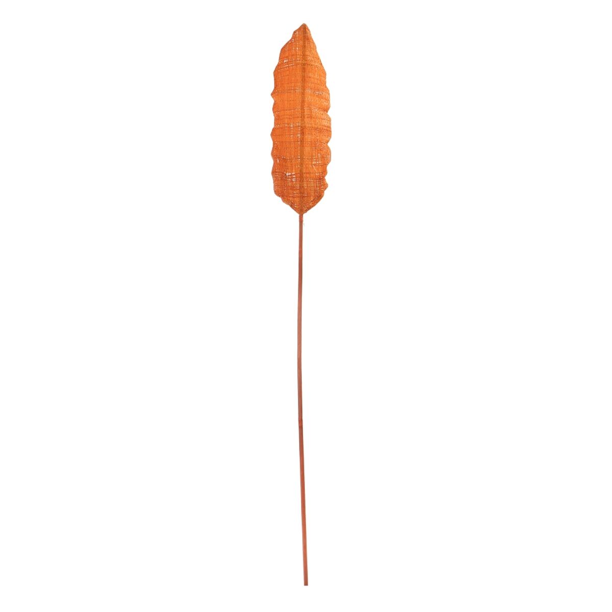 Ramo Arancio 19 x 7 x 200 cm