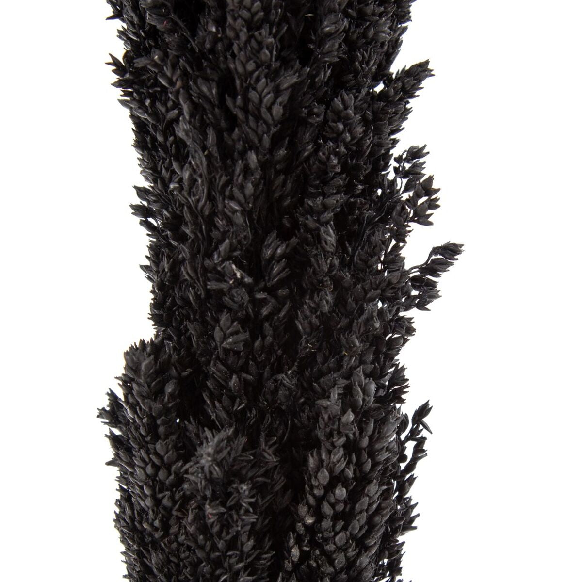 Ramo Nero 7 x 7 x 190 cm