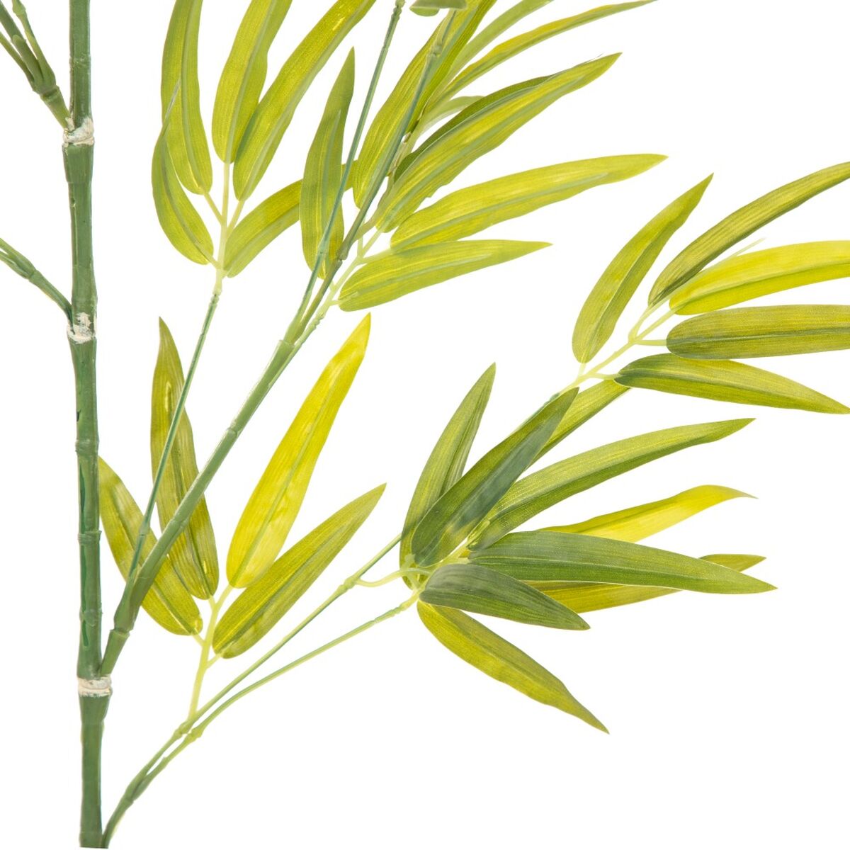 Ramo 40 x 30 x 157 cm Verde