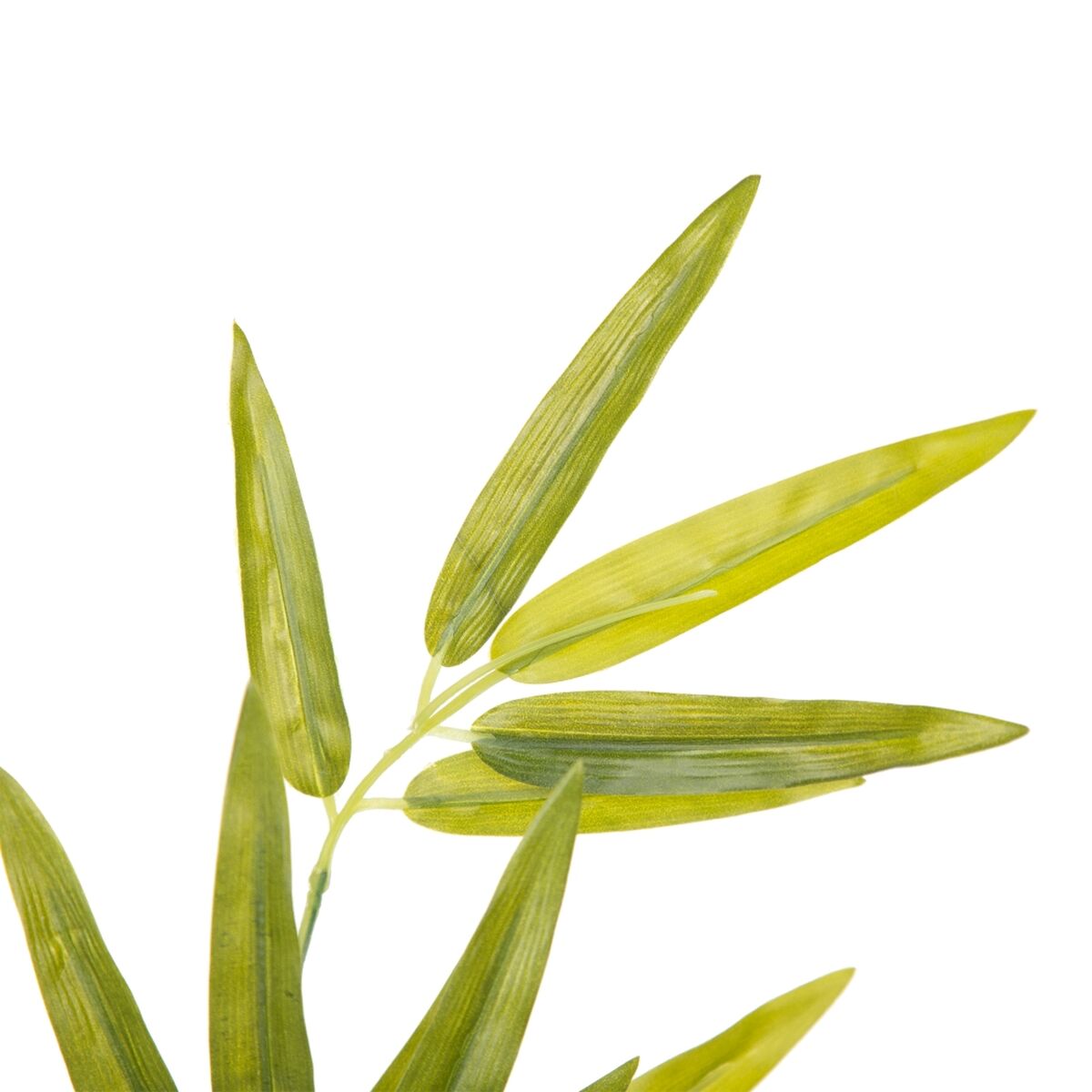 Ramo 40 x 30 x 157 cm Verde