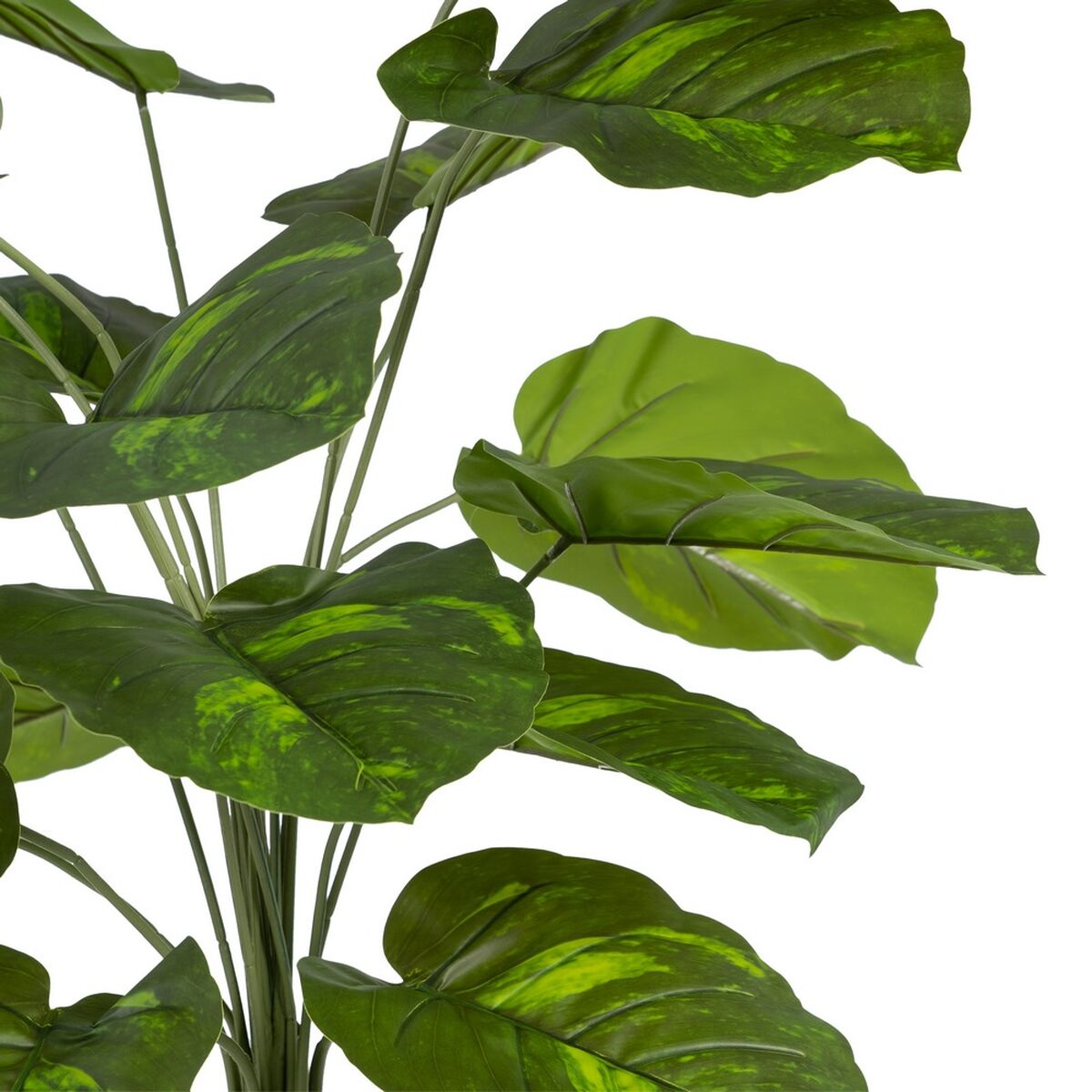 Ramo Verde PVC 70 x 70 x 75 cm