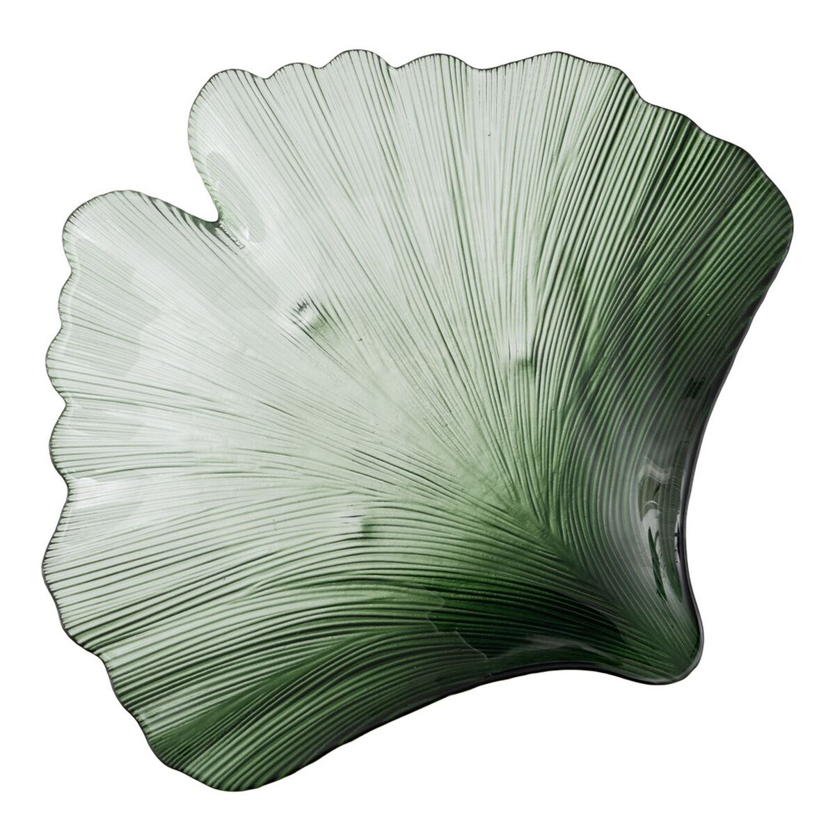 Vassoio Verde Conchiglia 33 x 31 cm