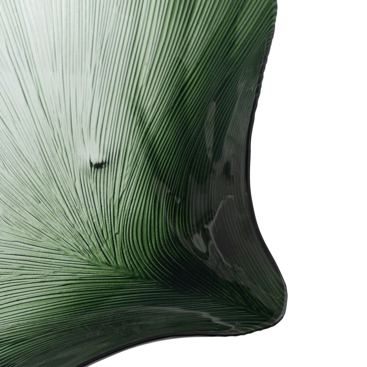Vassoio Verde Conchiglia 48 cm
