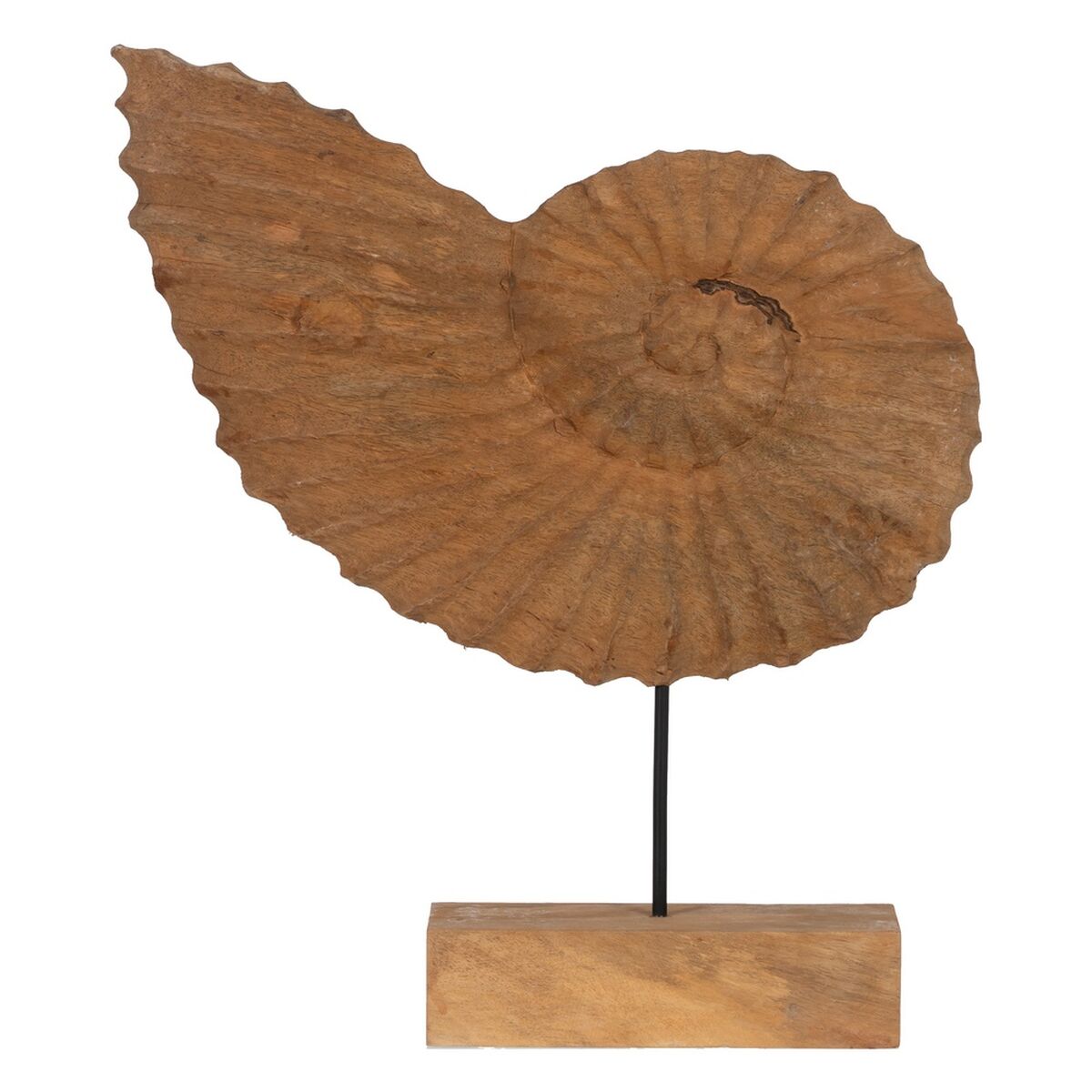 Scultura Conchiglia Beige 49,5 x 9 x 53,5 cm