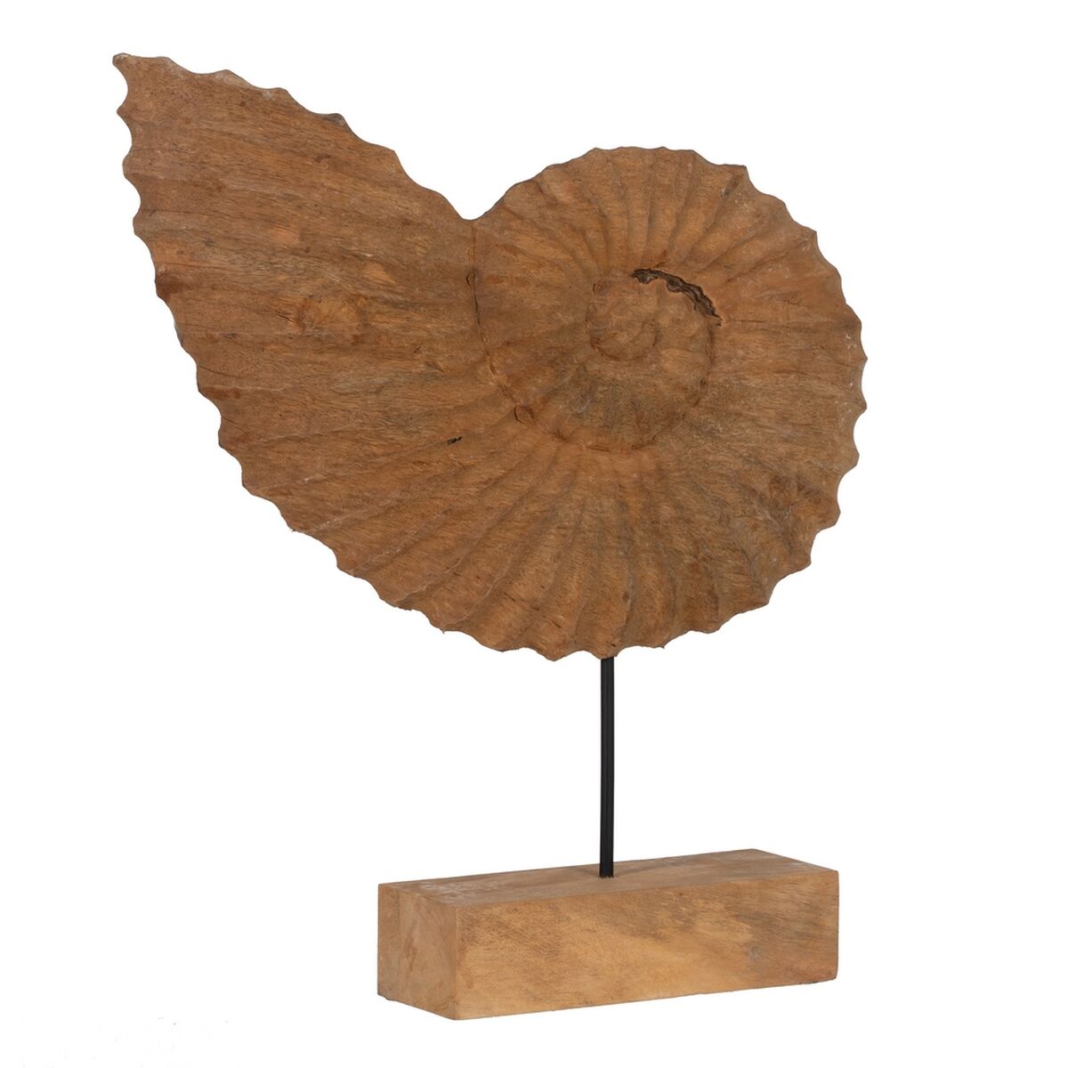 Scultura Conchiglia Beige 49,5 x 9 x 53,5 cm