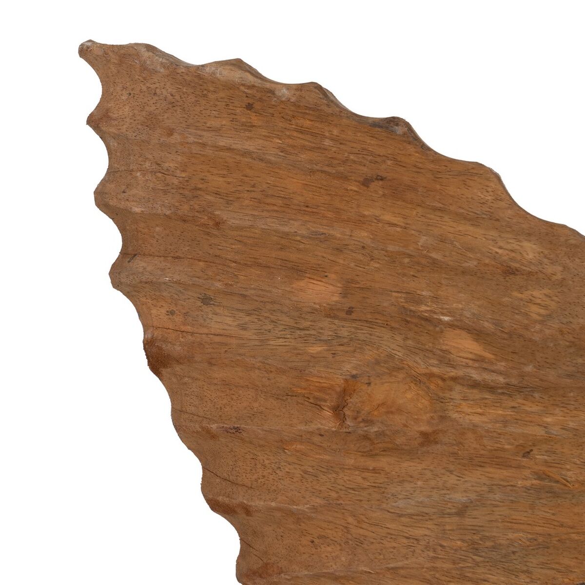 Scultura Conchiglia Beige 49,5 x 9 x 53,5 cm