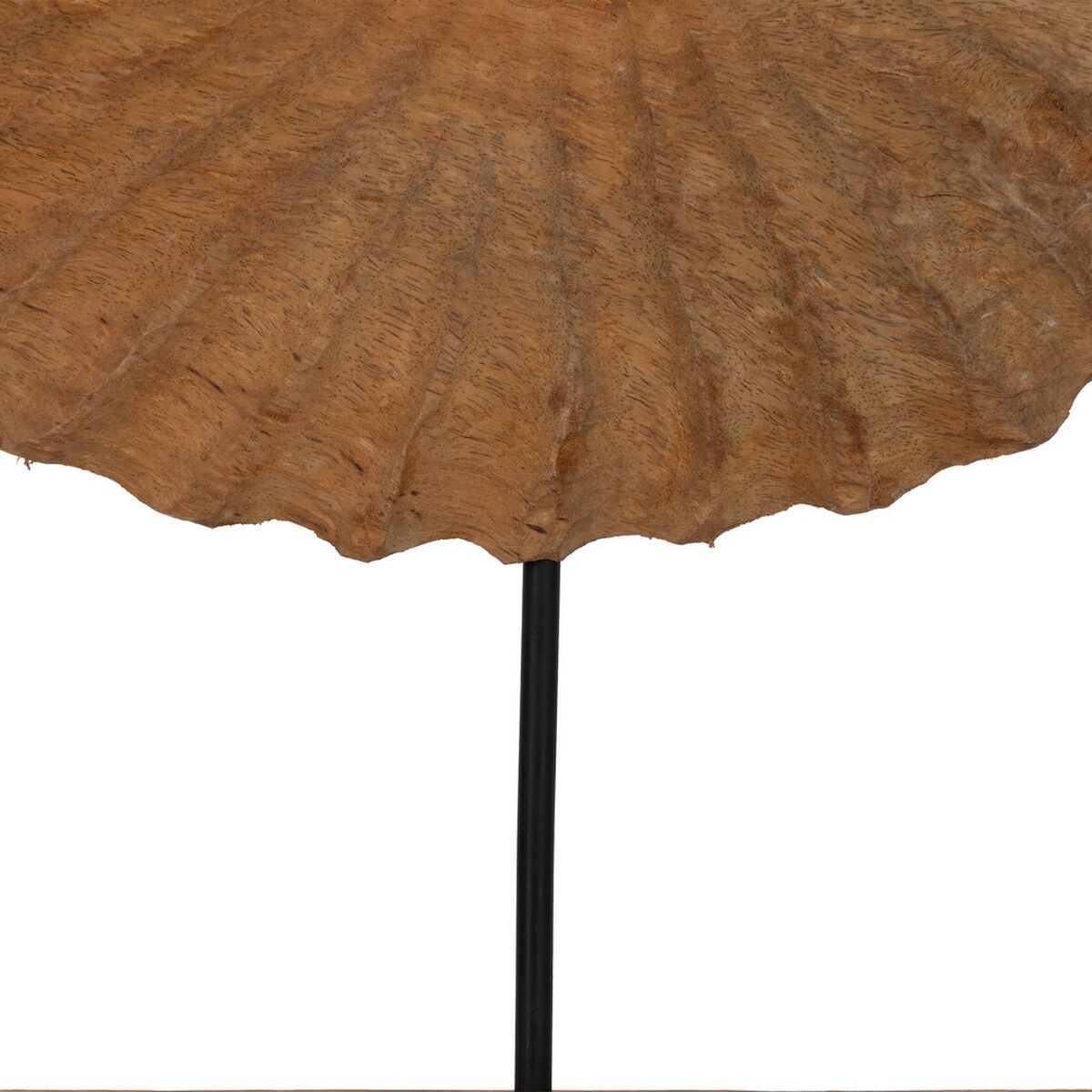 Scultura Conchiglia Beige 49,5 x 9 x 53,5 cm
