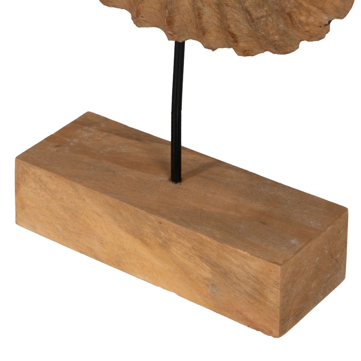 Scultura Conchiglia Beige 49,5 x 9 x 53,5 cm