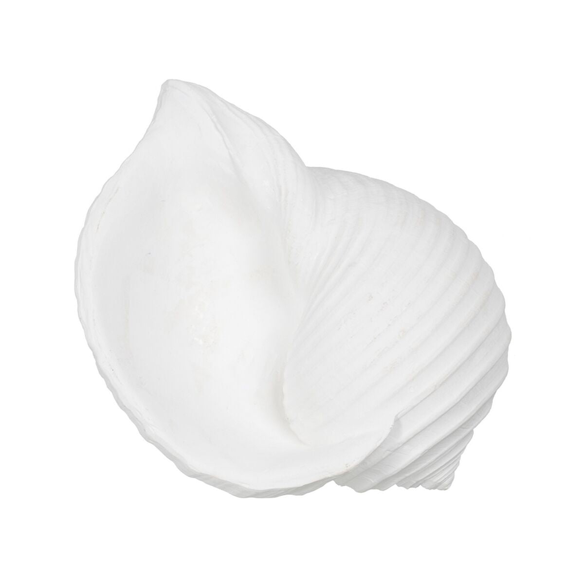 Statua Decorativa Bianco Conchiglia 15 x 11 x 9 cm