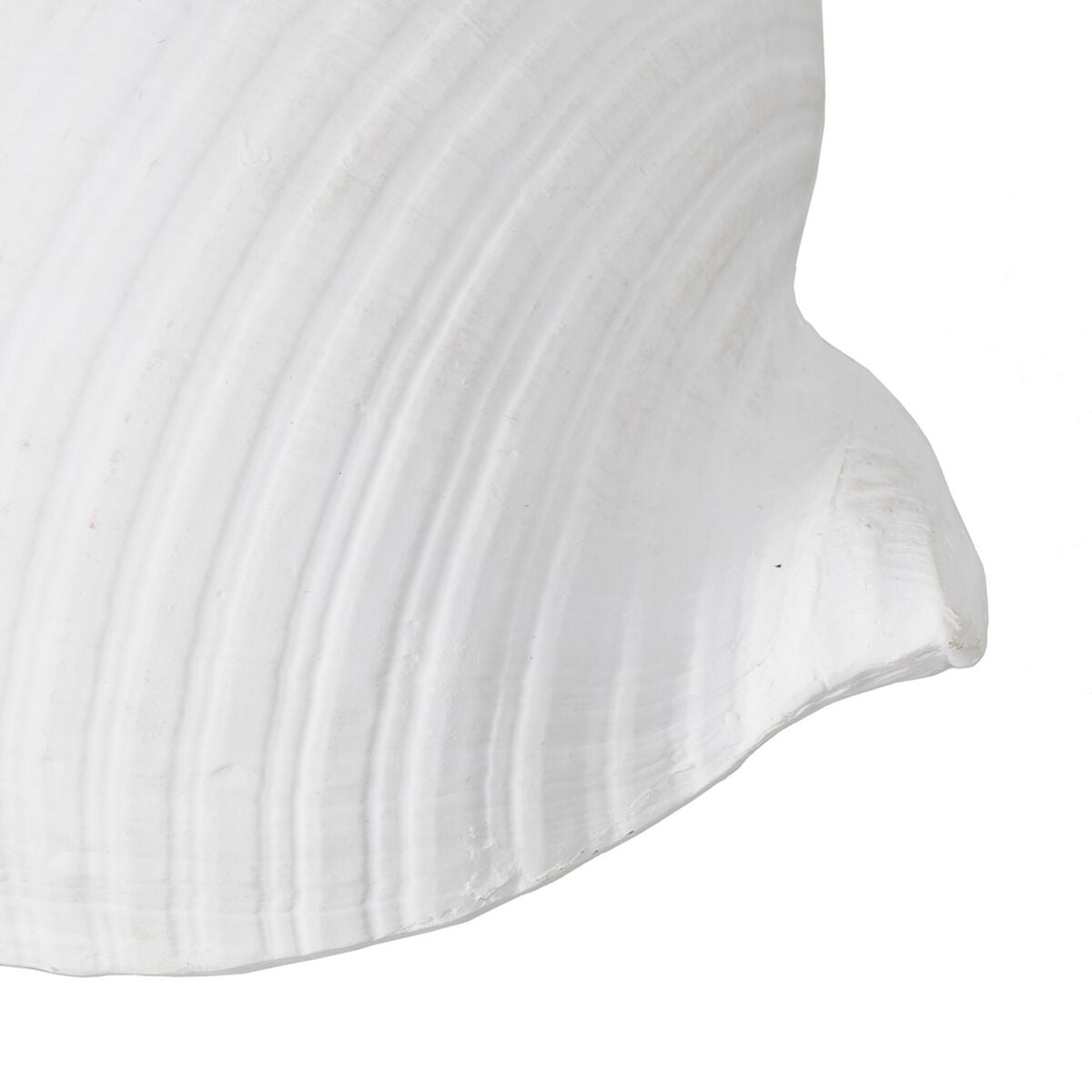 Statua Decorativa Bianco Conchiglia 15 x 11 x 9 cm