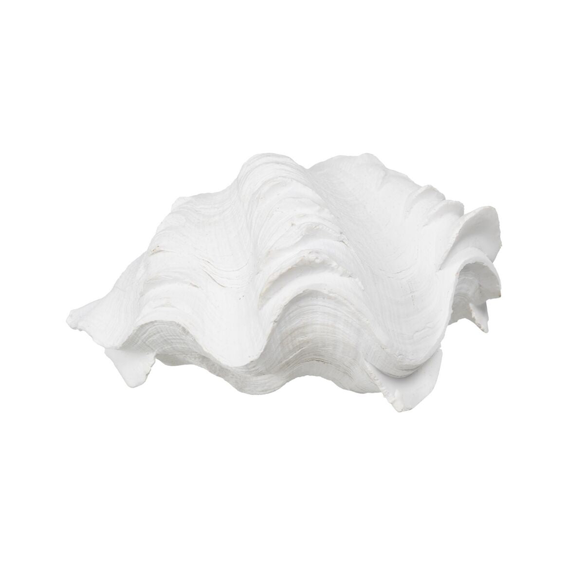 Statua Decorativa Bianco Conchiglia 14 x 7 x 10 cm