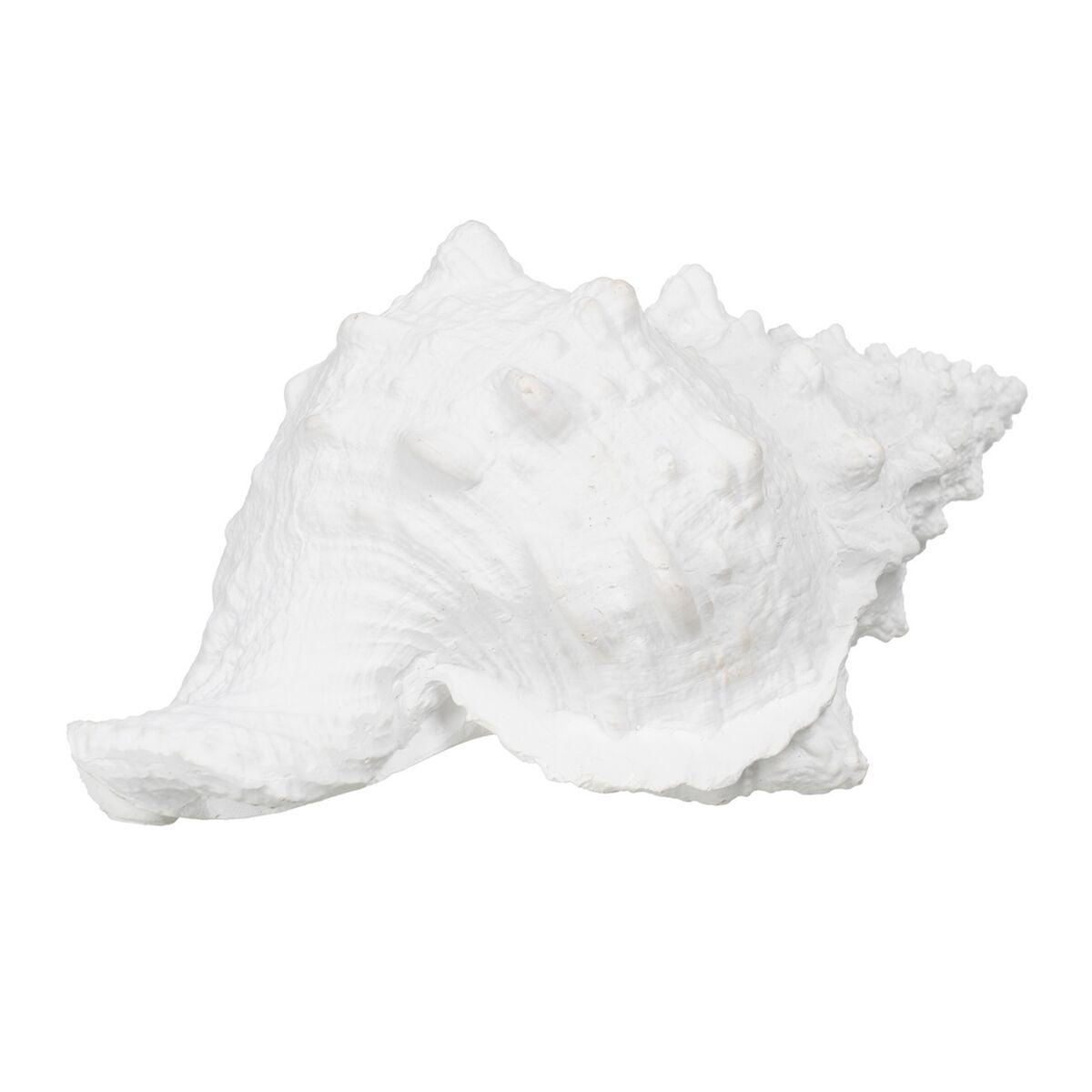 Statua Decorativa Bianco Conchiglia 21 x 14 x 12 cm