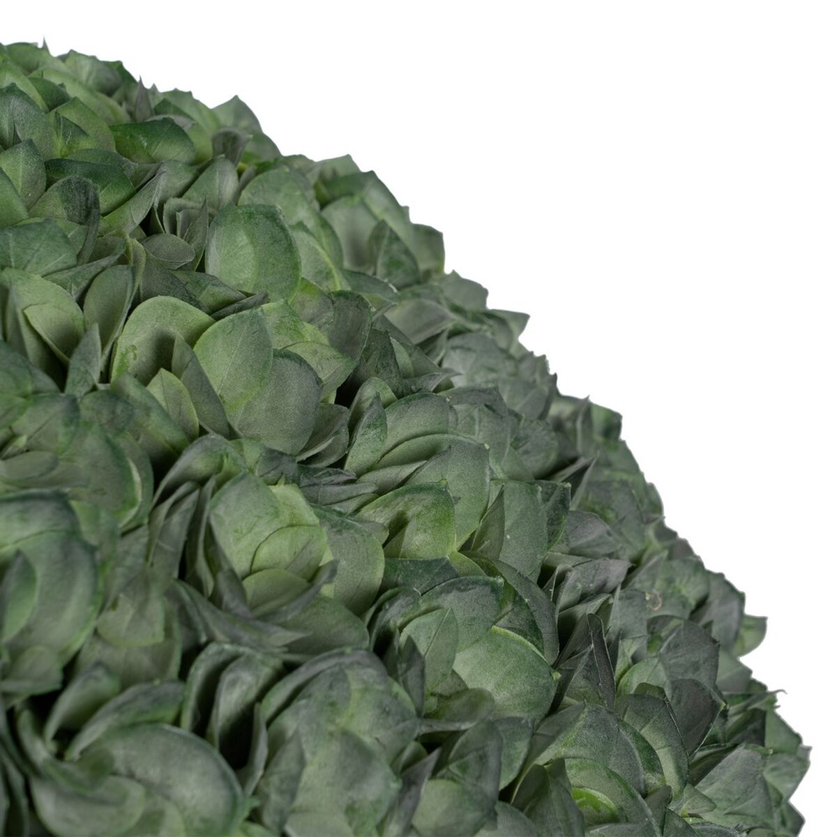 Pianta Decorativa Verde PVC 37 x 37 cm