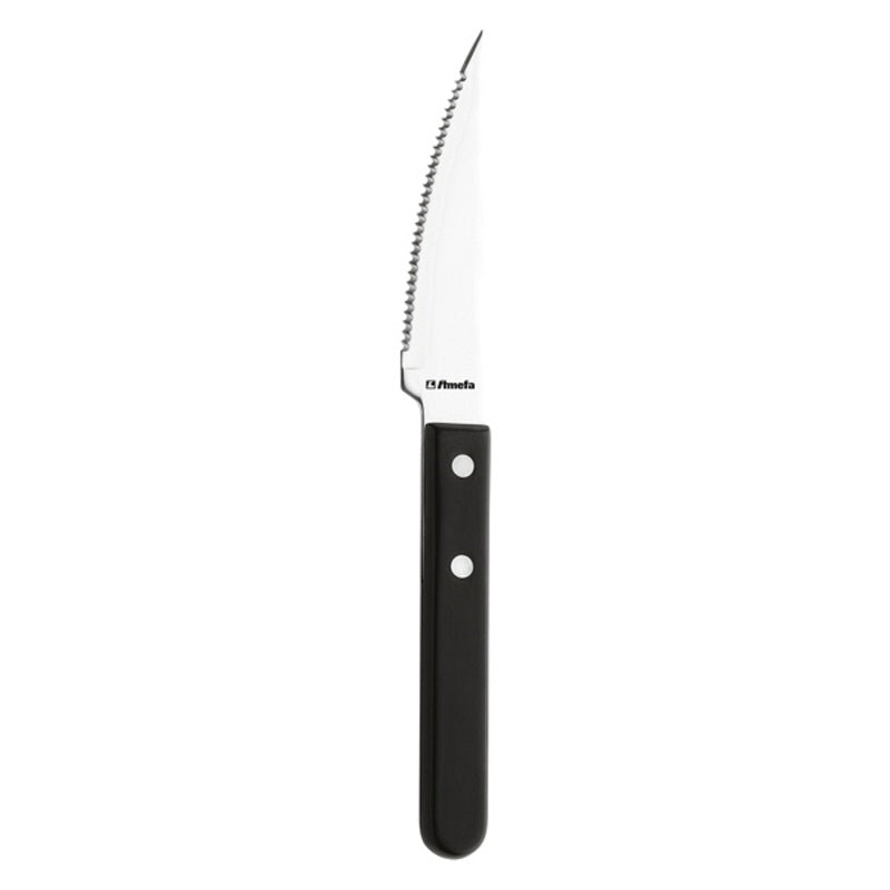 Set di Coltelli Amefa Pizza Steak Acciaio inossidabile (12 pezzi)