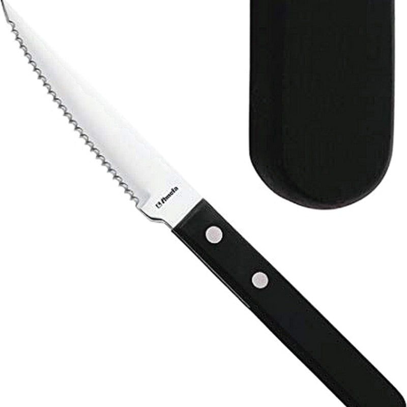 Set di Coltelli Amefa Pizza Steak Acciaio inossidabile (12 pezzi)