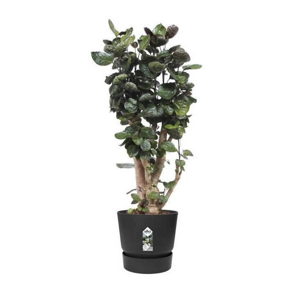 Vaso Elho Greenville Rotondo Nero Plastica (Ø 39 x 36,8 cm)